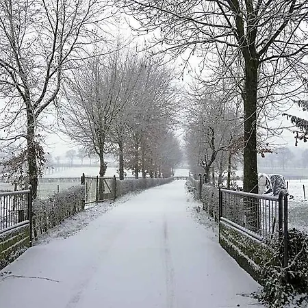 Near Town Center In Mesch