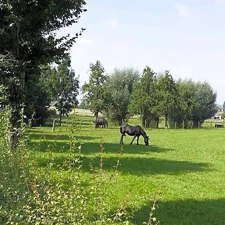 Near Town Center In Mesch 2*