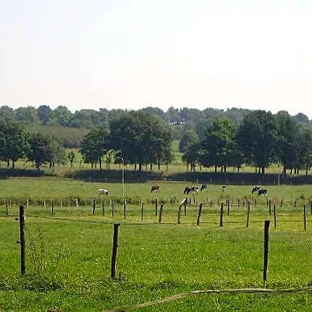Near Town Center In Mesch