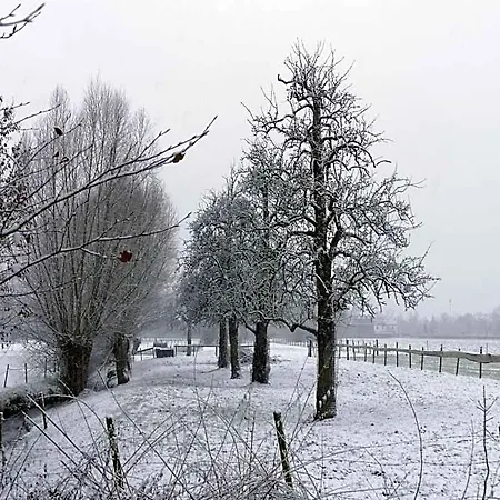 Near Town Center In Mesch